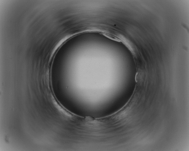 X0000097671100200803071549