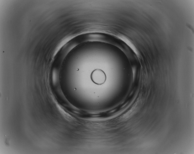 X0000097671101200803071549