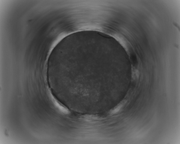 X0000097671102200803071549