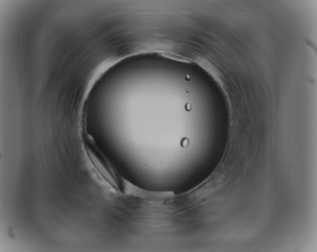 X0000097671104200803071549