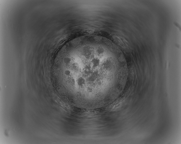 X0000097671105200803071549