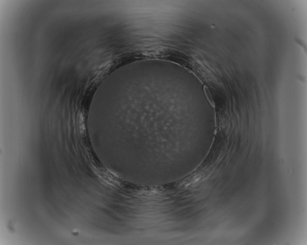 X0000097671106200803071549
