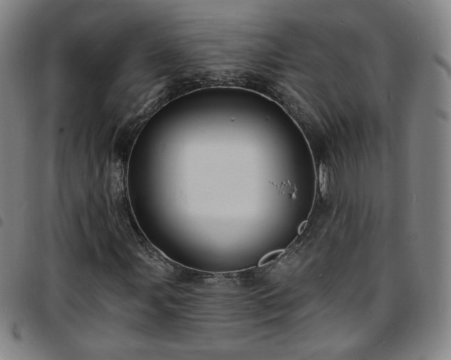X0000097671107200803071549