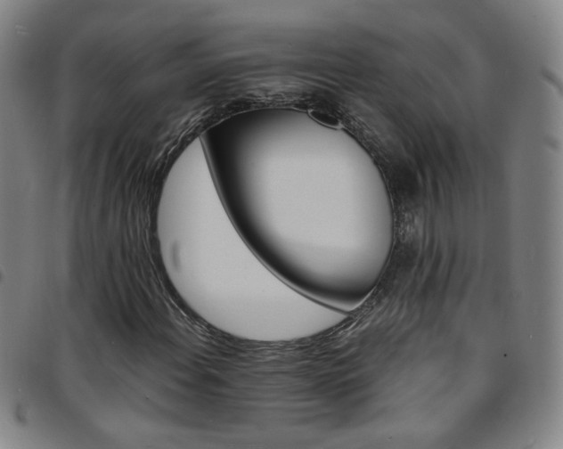 X0000097671108200803071549