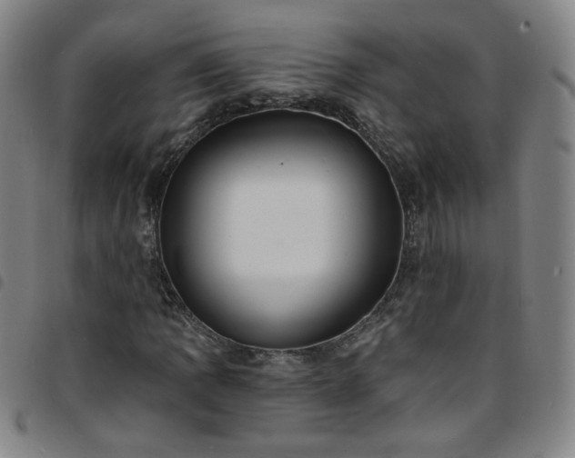 X0000097671109200803071549
