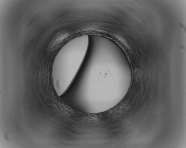 X0000097671111200803071549