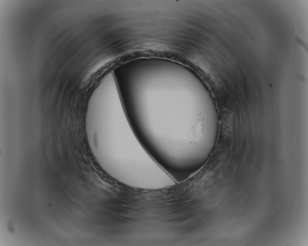 X0000097671112200803071549