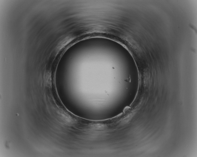X0000097671113200803071549