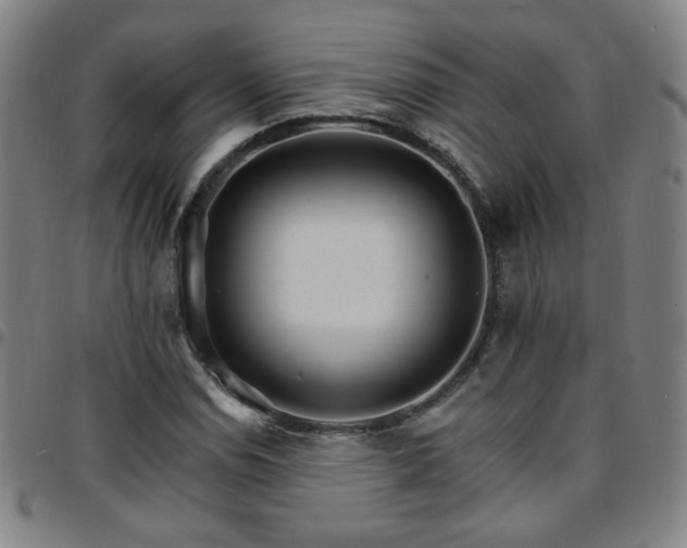 X0000097671114200803071549