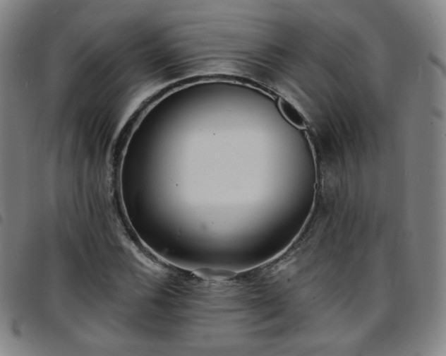 X0000097671116200803071549