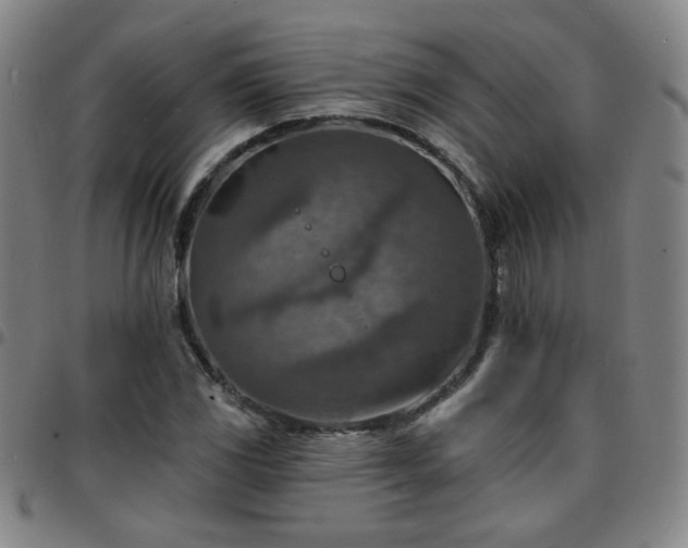 X0000097671117200803071549