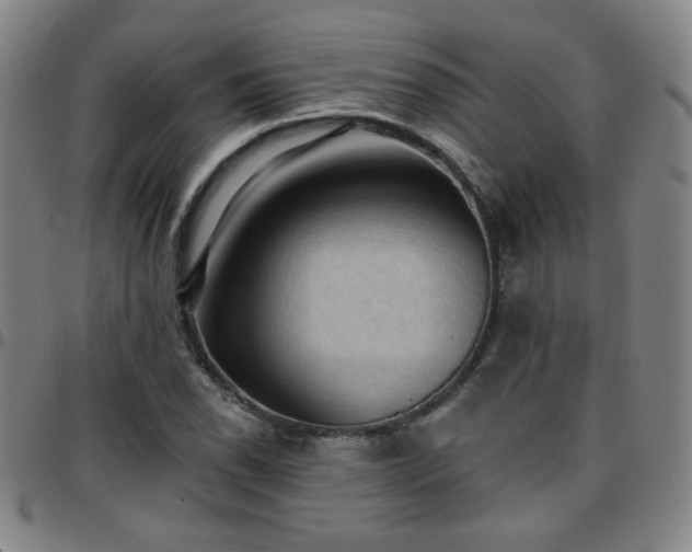 X0000097671118200803071549