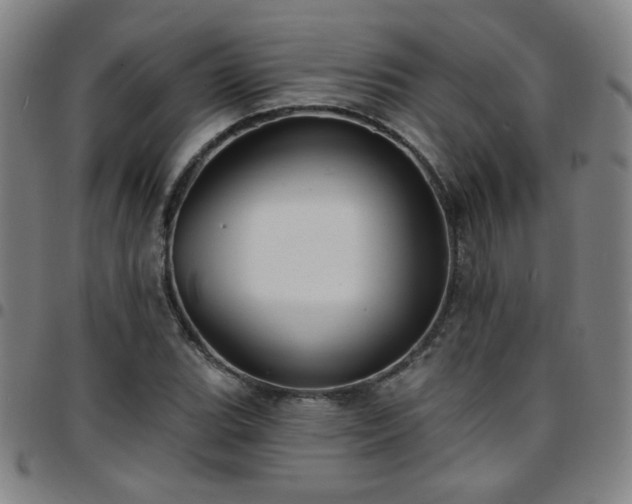 X0000097671119200803071549