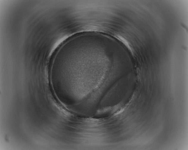 X0000097671120200803071549