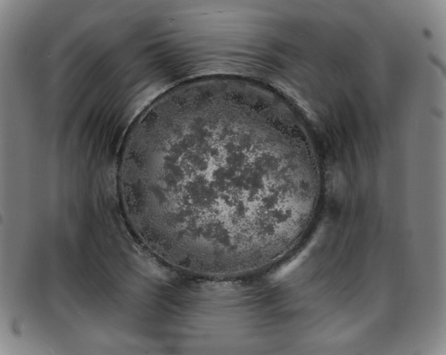X0000097671121200803071549