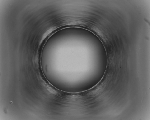 X0000097671122200803071549