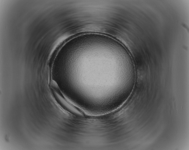 X0000097671123200803071549