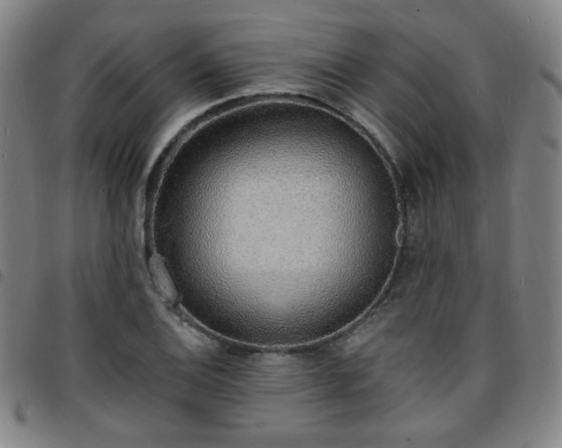 X0000097671124200803071549