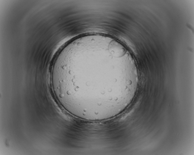 X0000097671125200803071549