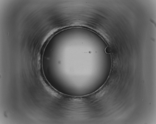 X0000097671126200803071549