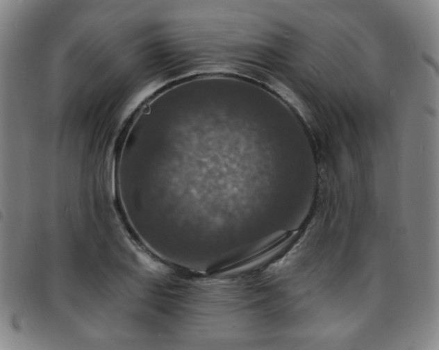 X0000097671127200803071549