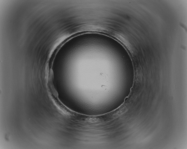 X0000097671128200803071549
