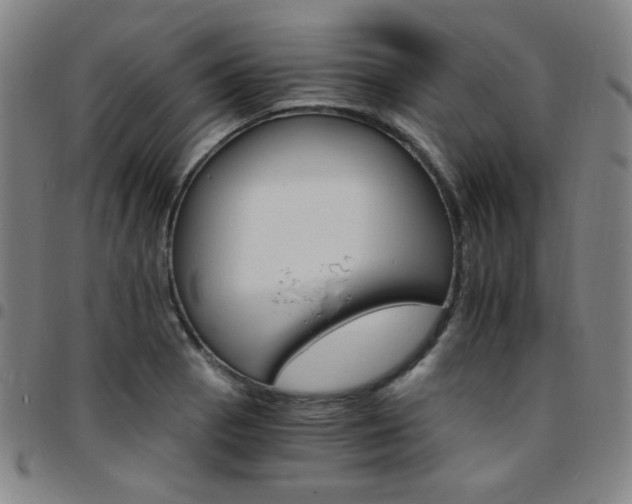 X0000097671129200803071549