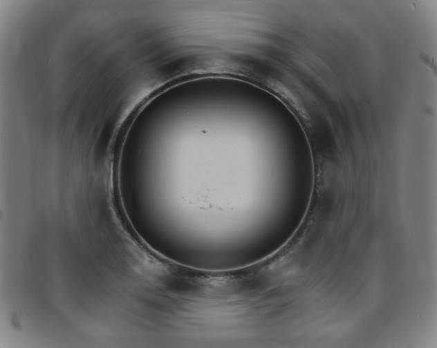 X0000097671130200803071549