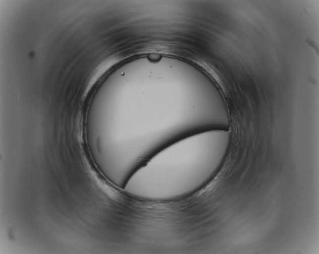 X0000097671131200803071549
