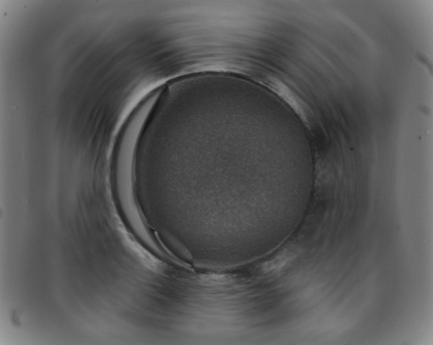 X0000097671132200803071549
