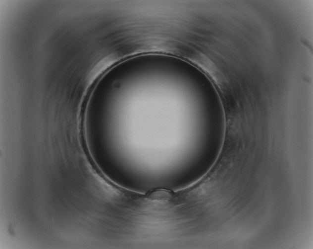 X0000097671135200803071549
