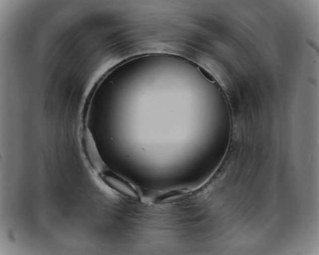 X0000097671136200803071549