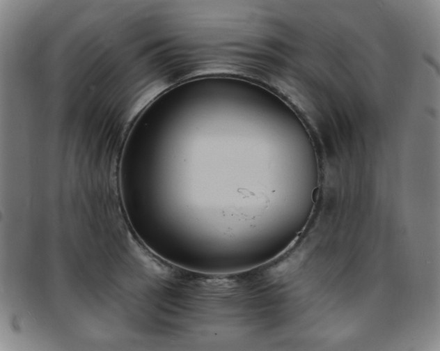 X0000097671137200803071549