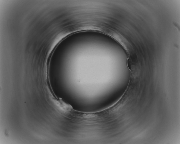 X0000097671140200803071549