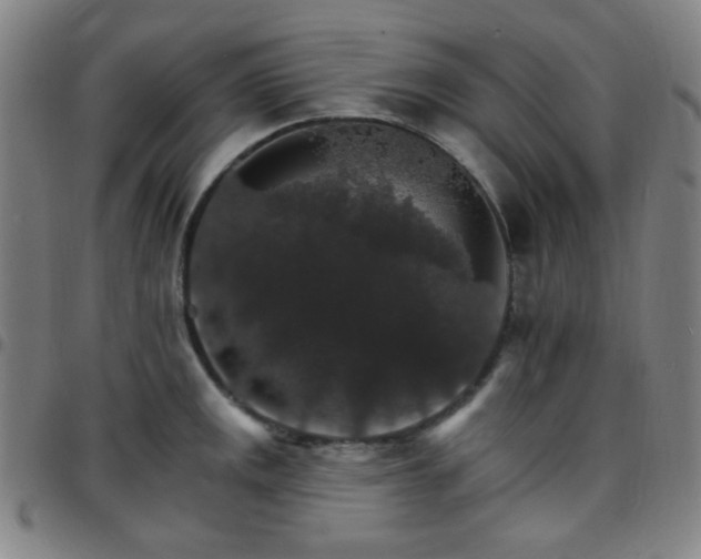 X0000097671141200803071549