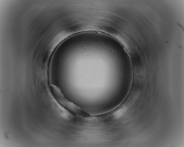 X0000097671142200803071549