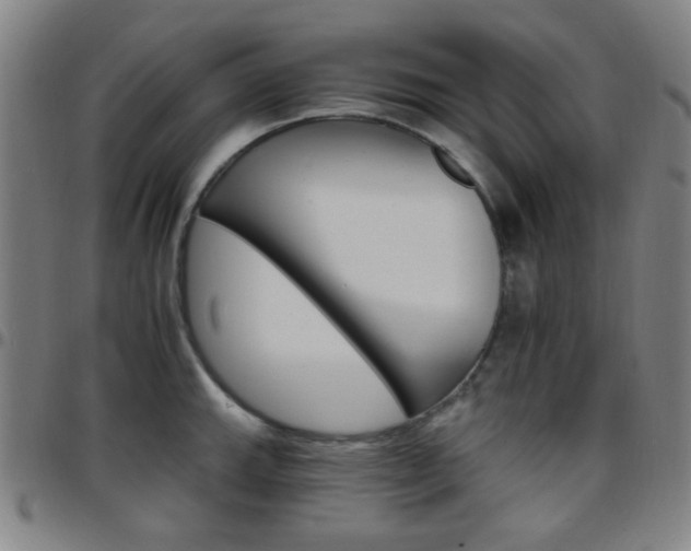 X0000097671143200803071549