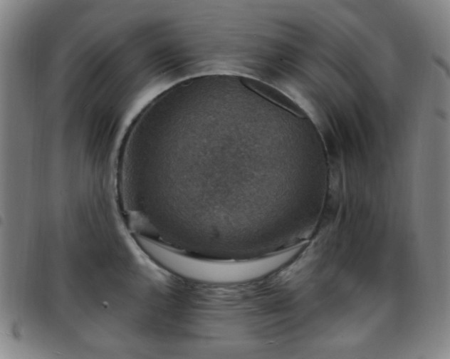 X0000097671144200803071549