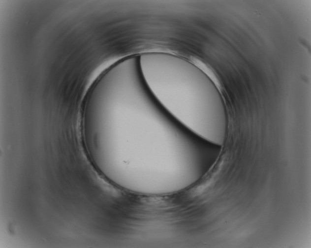 X0000097671149200803071549