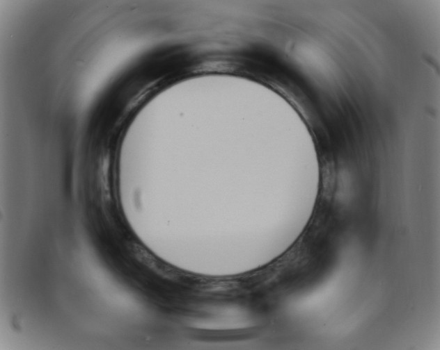 X0000097671150200803071549
