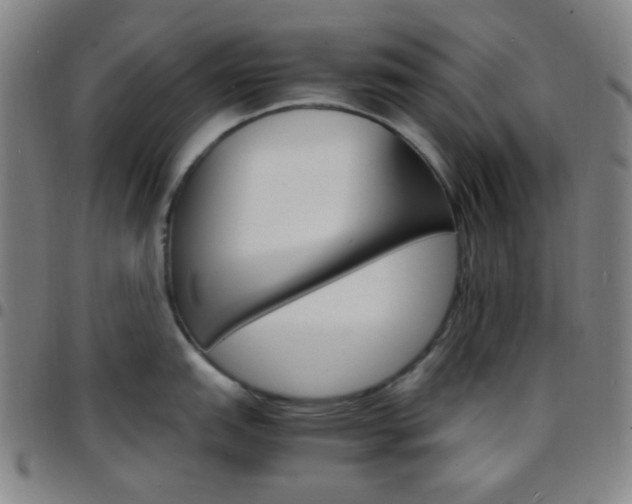 X0000097671151200803071549