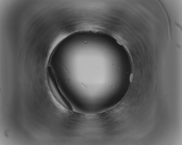 X0000097671152200803071549