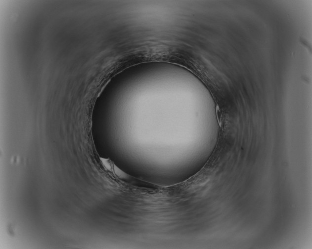 X0000097671153200803071549