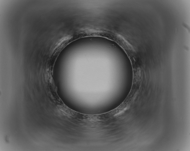 X0000097671157200803071549