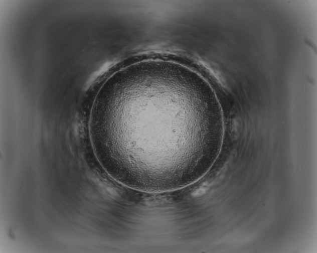 X0000097671159200803071549