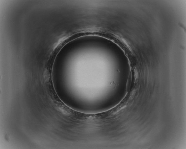 X0000097671160200803071549