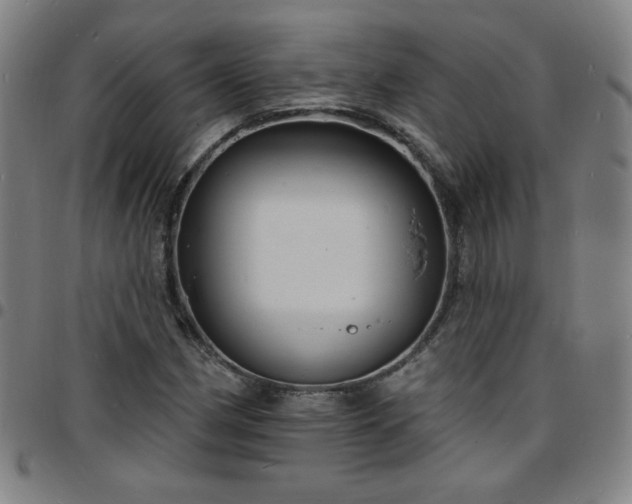 X0000097671162200803071549