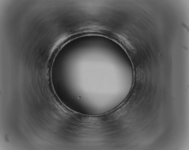 X0000097671164200803071548