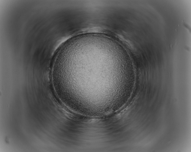 X0000097671166200803071548
