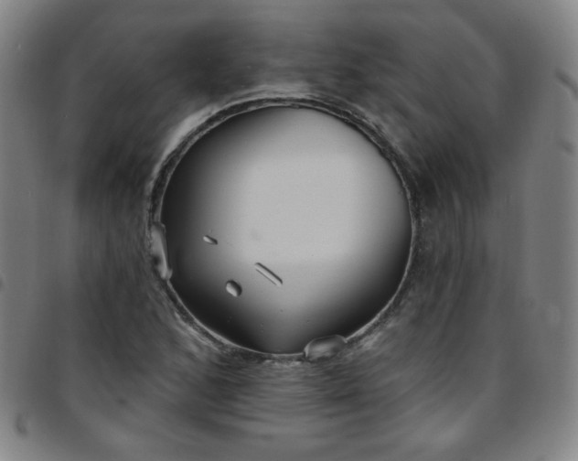 X0000097671168200803071548